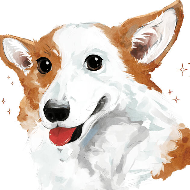 CORGI